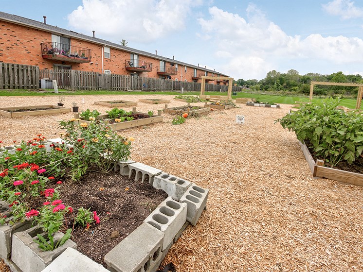 Community Garden at Carriage House East